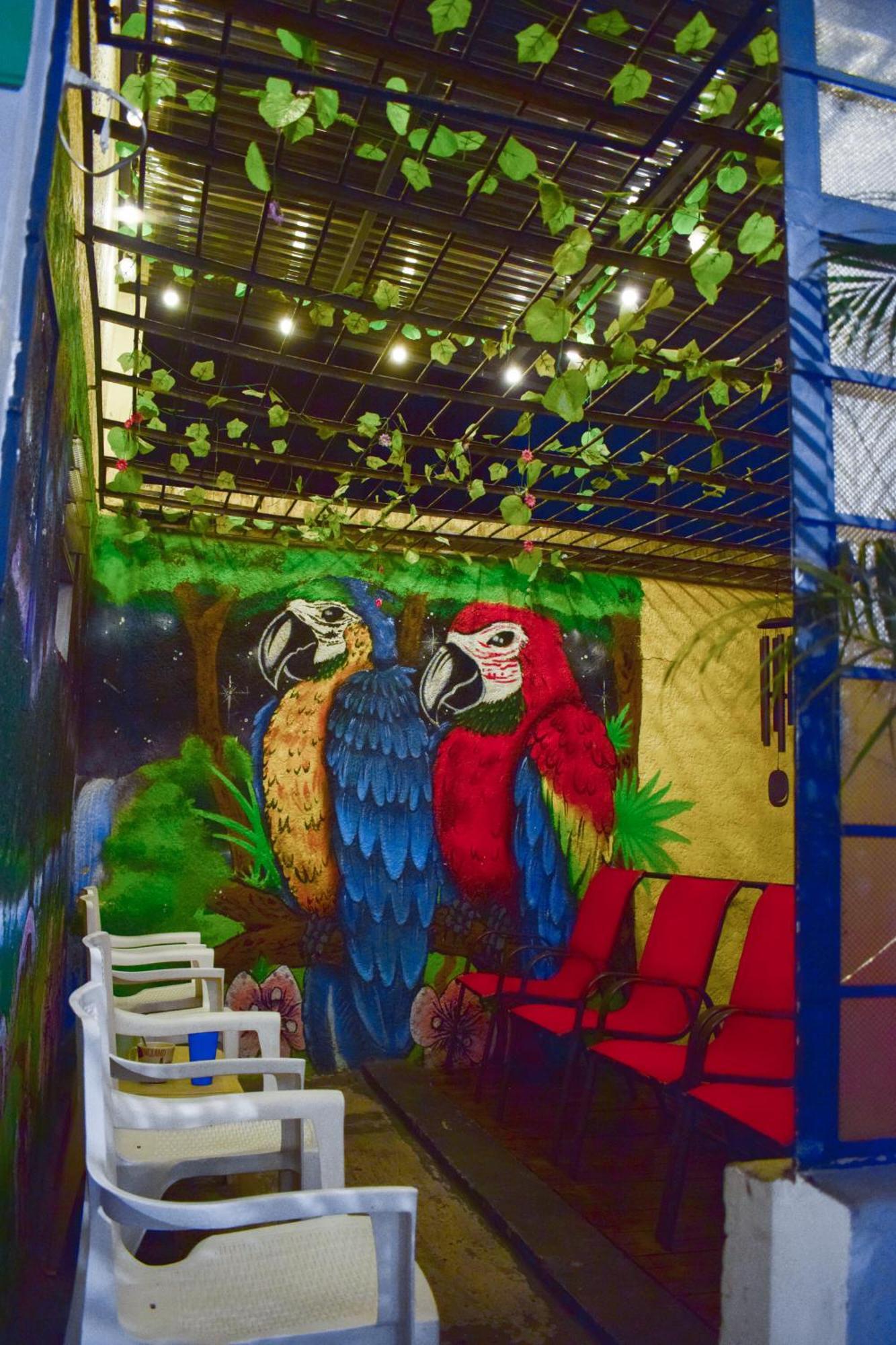 Key West Hostel Medellín Dış mekan fotoğraf